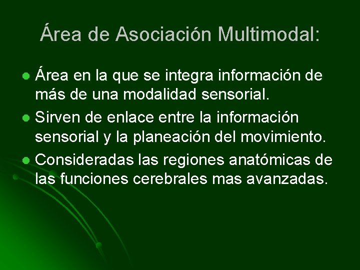 Área de Asociación Multimodal: Área en la que se integra información de más de