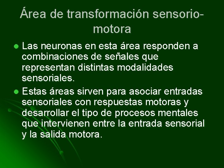 Área de transformación sensoriomotora Las neuronas en esta área responden a combinaciones de señales
