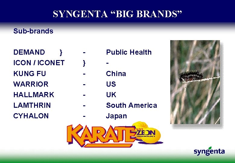 SYNGENTA “BIG BRANDS” Sub-brands DEMAND } ICON / ICONET KUNG FU WARRIOR HALLMARK LAMTHRIN