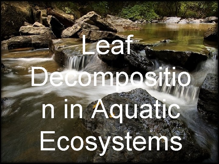 Leaf Decompositio n in Aquatic Ecosystems 