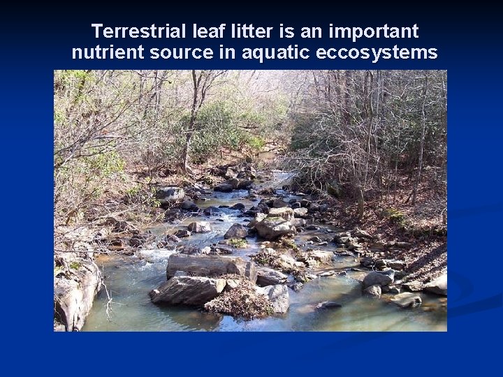 Terrestrial leaf litter is an important nutrient source in aquatic eccosystems 