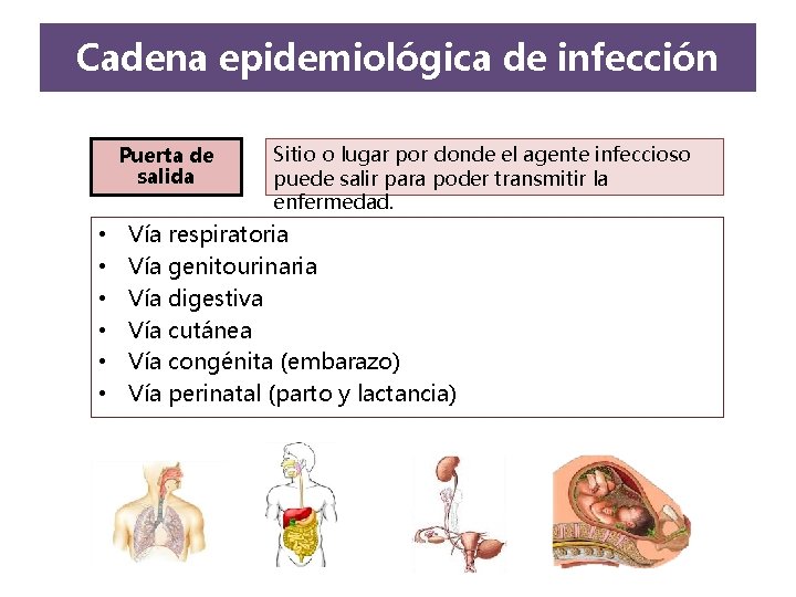 Cadena epidemiológica de infección Puerta de salida • • • Sitio o lugar por Cadena epidemiológica de infección Puerta de salida • • • Sitio o lugar por