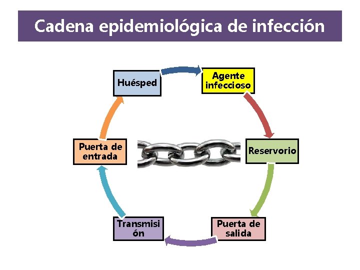 Cadena epidemiológica de infección Huésped Puerta de entrada Transmisi ón Agente infeccioso Reservorio Puerta Cadena epidemiológica de infección Huésped Puerta de entrada Transmisi ón Agente infeccioso Reservorio Puerta