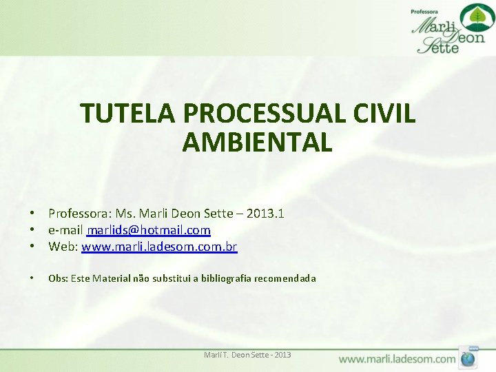 TUTELA PROCESSUAL CIVIL AMBIENTAL • Professora: Ms. Marli Deon Sette – 2013. 1 •