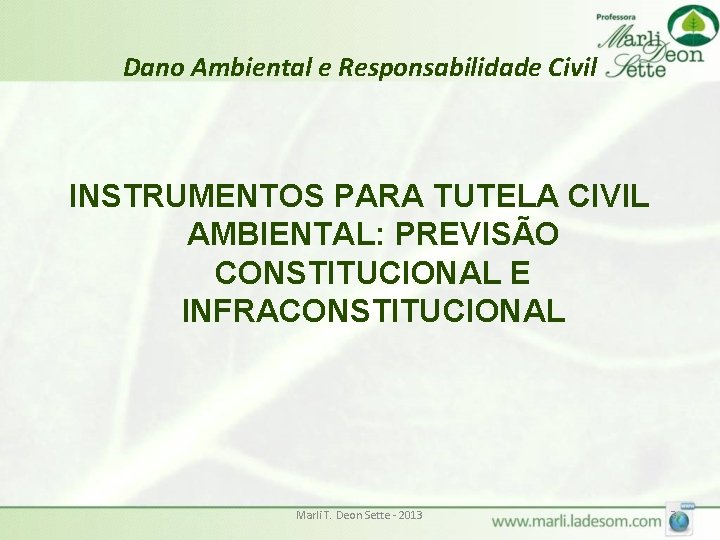 Dano Ambiental e Responsabilidade Civil INSTRUMENTOS PARA TUTELA CIVIL AMBIENTAL: PREVISÃO CONSTITUCIONAL E INFRACONSTITUCIONAL