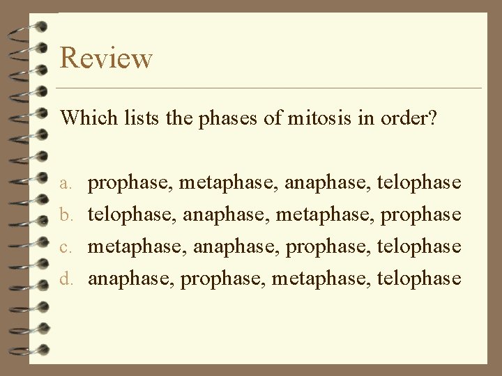 Review Which lists the phases of mitosis in order? a. prophase, metaphase, anaphase, telophase