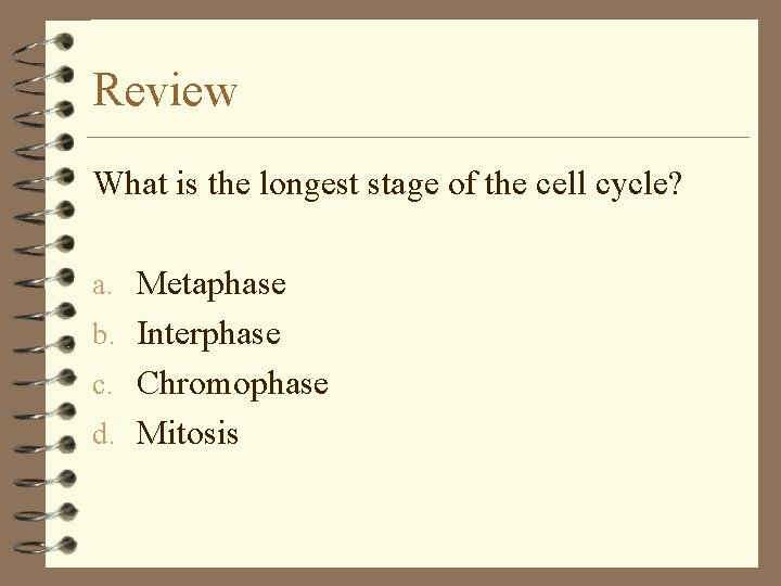 Review What is the longest stage of the cell cycle? a. Metaphase b. Interphase
