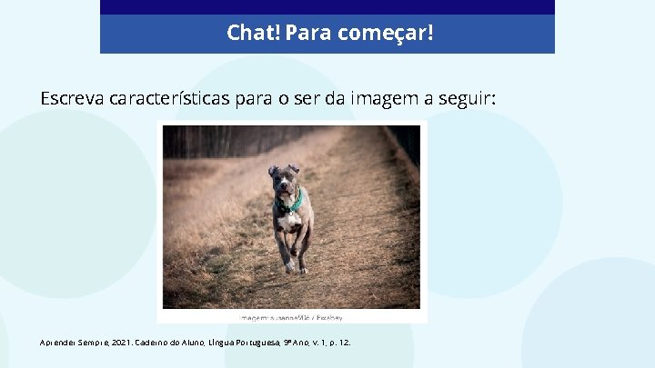 Chat! Vamos conversar! Chat! Para começar! Escreva características para o ser da imagem a