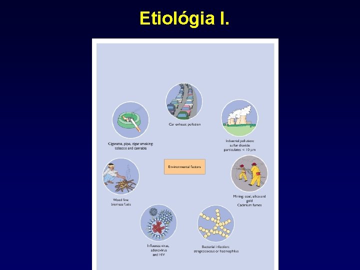Etiológia I. 