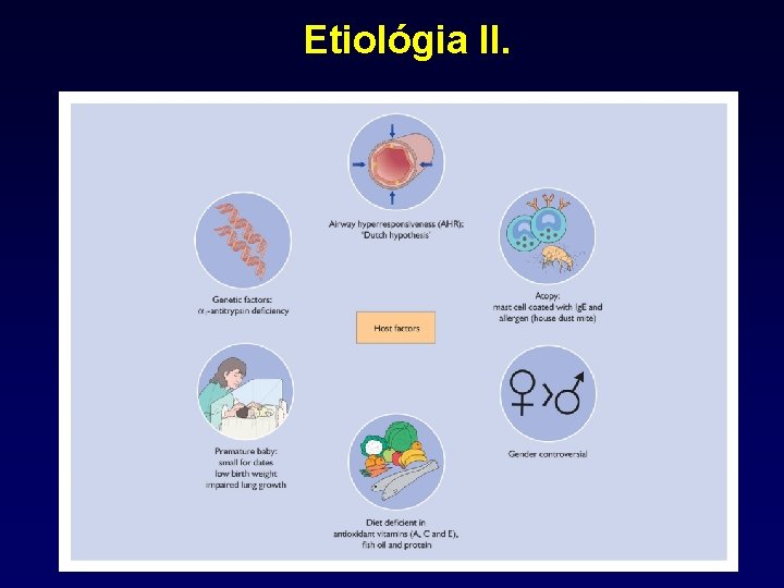 Etiológia II. 