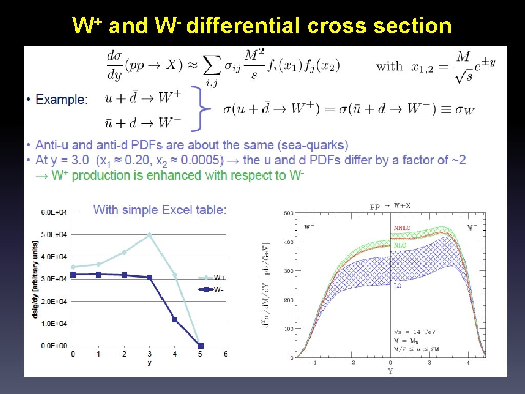 + W and W differential cross section 