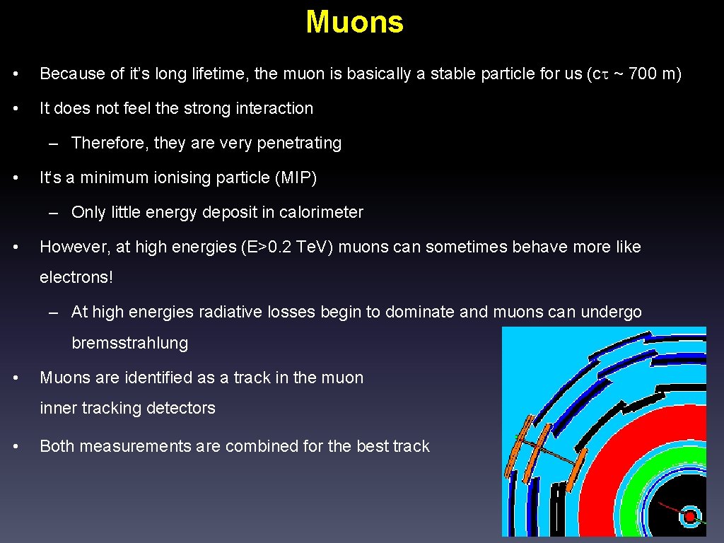 Muons • Because of it’s long lifetime, the muon is basically a stable particle