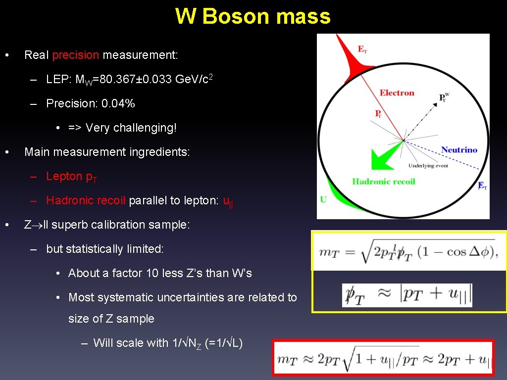 W Boson mass • Real precision measurement: – LEP: MW=80. 367± 0. 033 Ge.