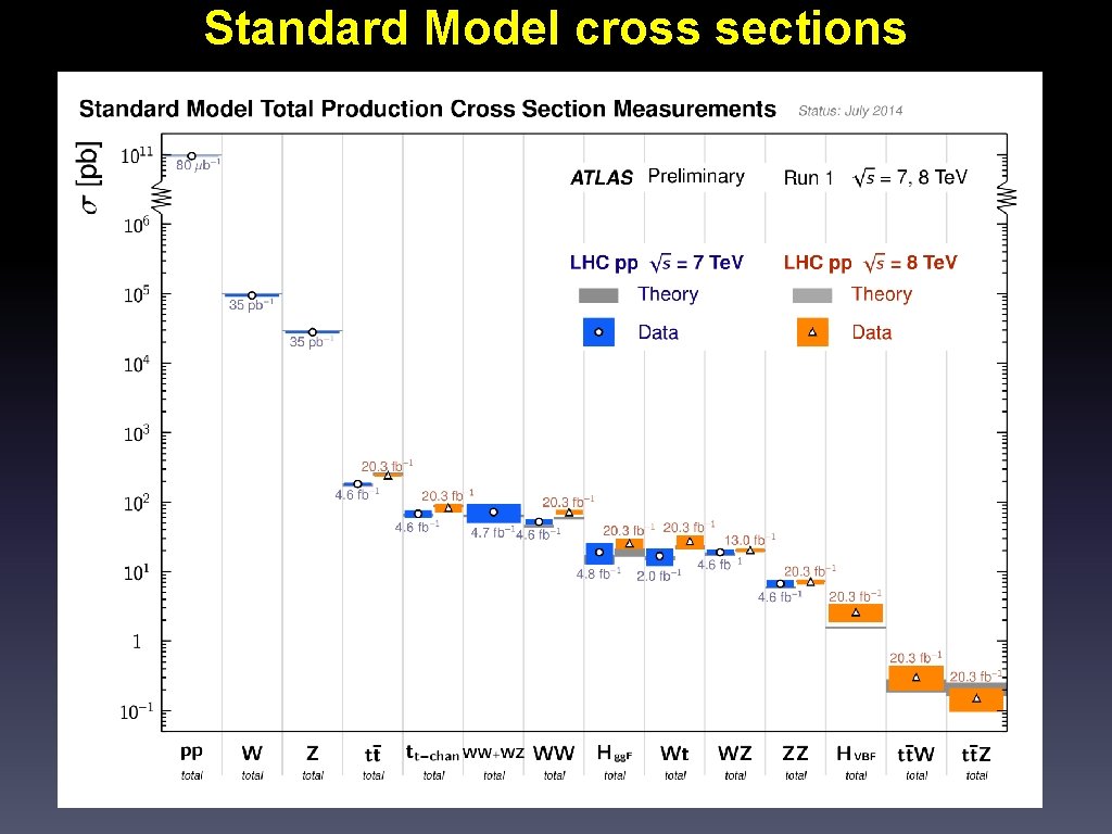 Standard Model cross sections 