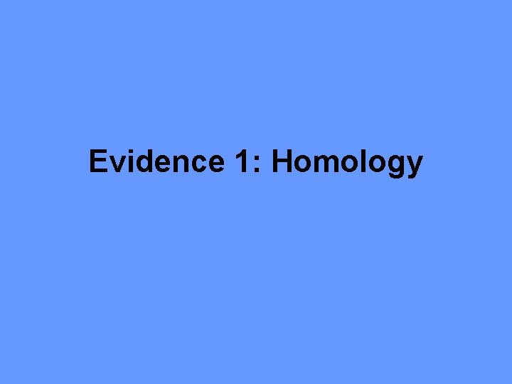 Evidence 1: Homology 