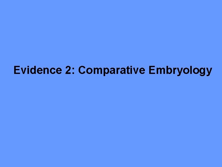 Evidence 2: Comparative Embryology 