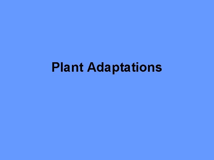 Plant Adaptations 