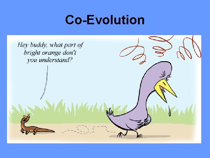 Co-Evolution 