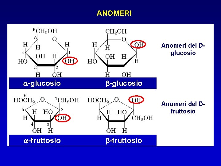 ANOMERI Anomeri del Dglucosio a-glucosio b-glucosio Anomeri del Dfruttosio a-fruttosio b-fruttosio 