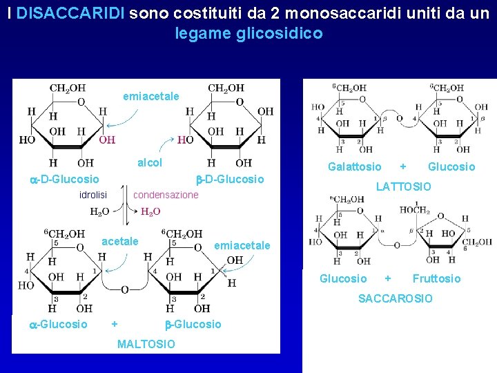 I DISACCARIDI sono costituiti da 2 monosaccaridi uniti da un legame glicosidico emiacetale alcol