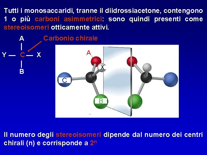 Tutti i monosaccaridi, tranne il diidrossiacetone, contengono 1 o più carboni asimmetrici: sono quindi