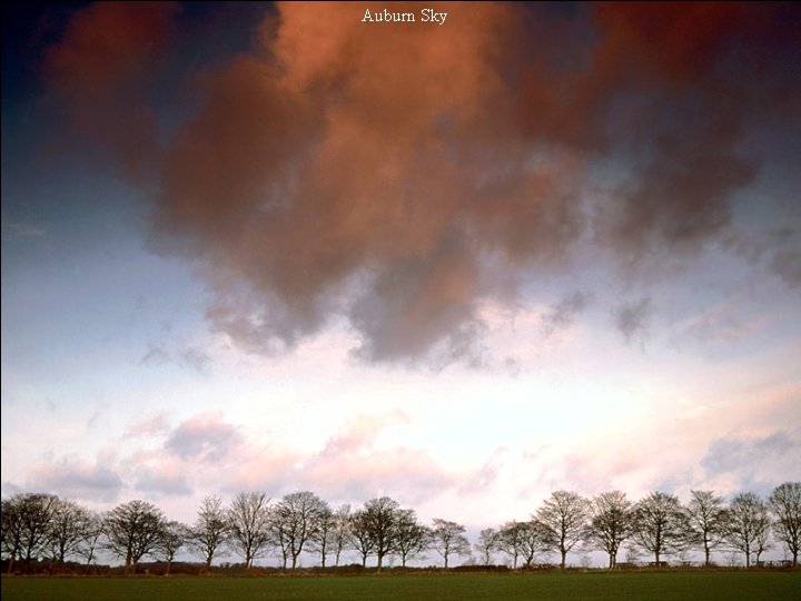 Auburn Sky 