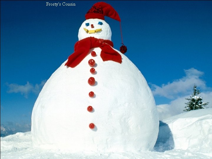 Frosty's Cousin 