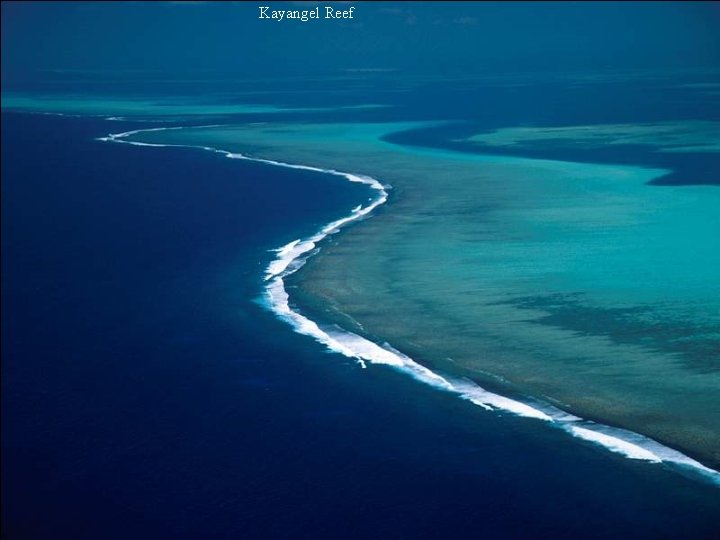 Kayangel Reef 