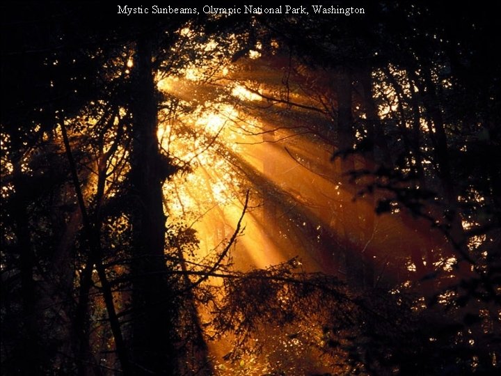 Mystic Sunbeams, Olympic National Park, Washington 