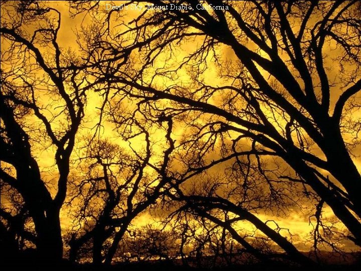 Devil's Sky, Mount Diablo, California 