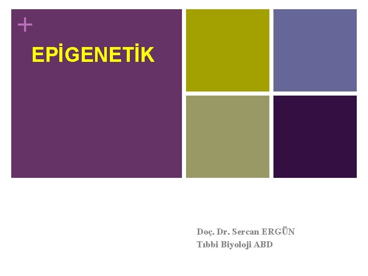 + EPİGENETİK Doç. Dr. Sercan ERGÜN Tıbbi Biyoloji ABD 