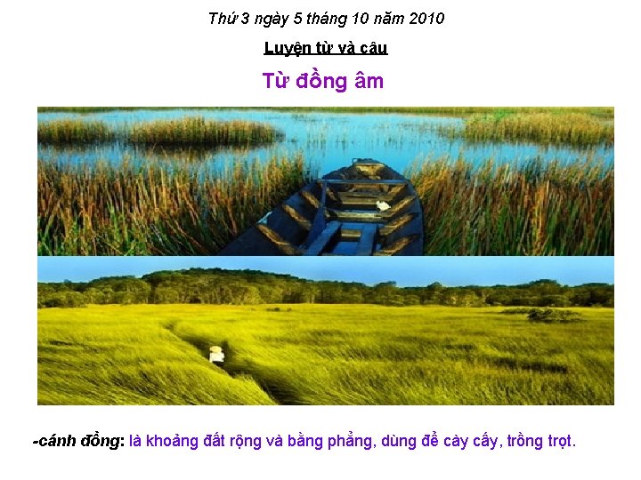 Thứ 3 ngày 5 tháng 10 năm 2010 Luyện từ và câu Từ đồng