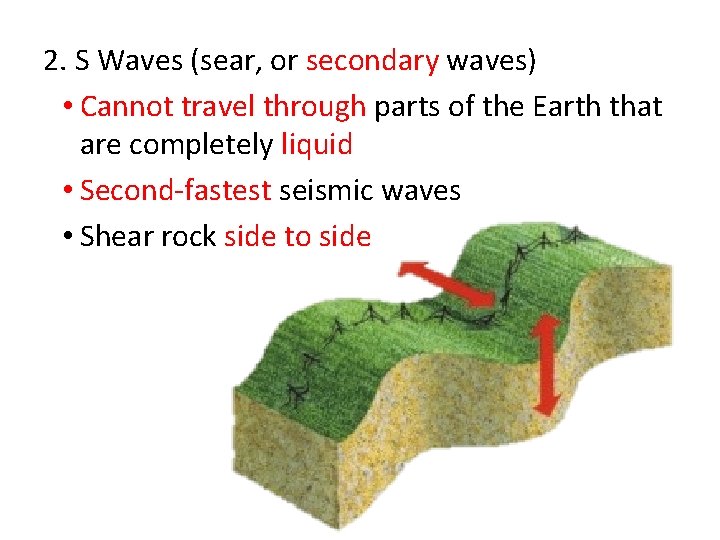 2. S Waves (sear, or secondary waves) • Cannot travel through parts of the