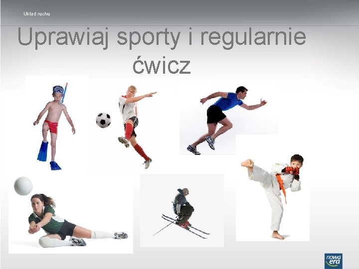 Układ ruchu Uprawiaj sporty i regularnie ćwicz 