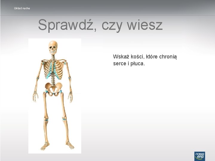 Układ ruchu Sprawdź, czy wiesz Wskaż kości, które chronią serce i płuca. 