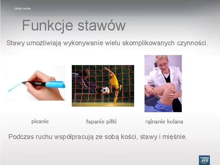 Układ ruchu Funkcje stawów Stawy umożliwiają wykonywanie wielu skomplikowanych czynności. pisanie łapanie piłki zginanie