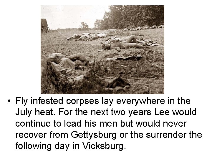  • Fly infested corpses lay everywhere in the July heat. For the next