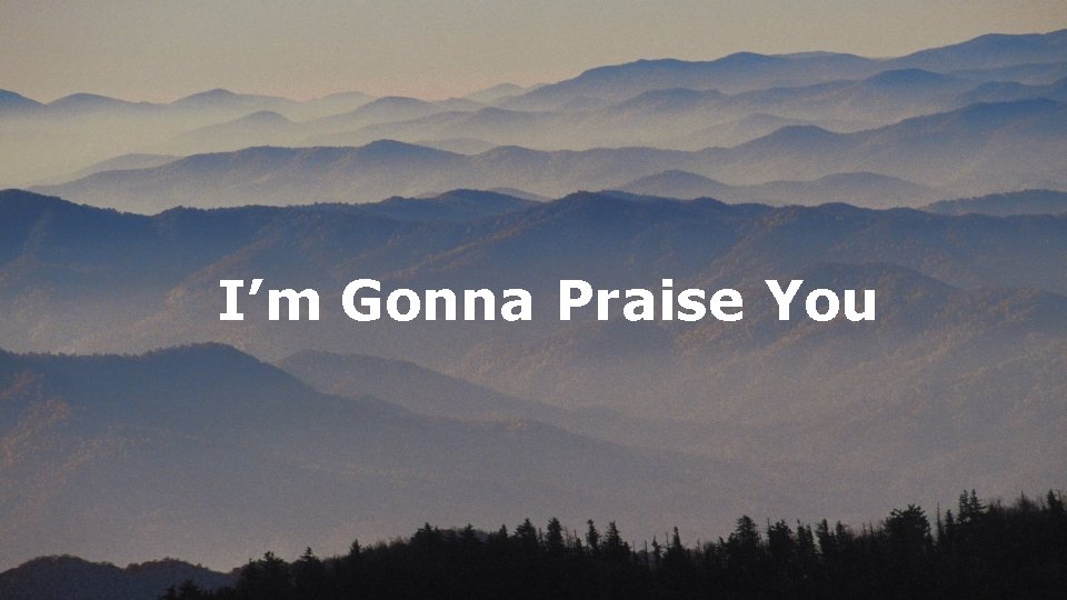 I’m Gonna Praise You 