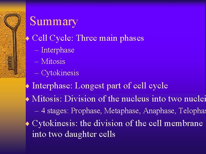 Summary ¨ Cell Cycle: Three main phases – Interphase – Mitosis – Cytokinesis ¨