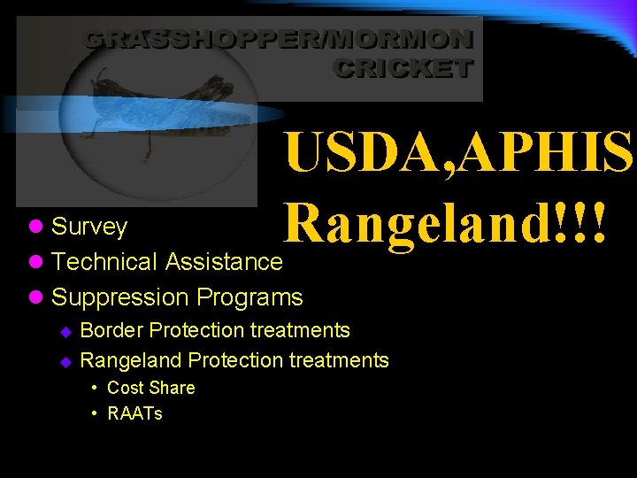 l l USDA, APHIS Survey Rangeland!!! Technical Assistance l Suppression Programs Border Protection treatments