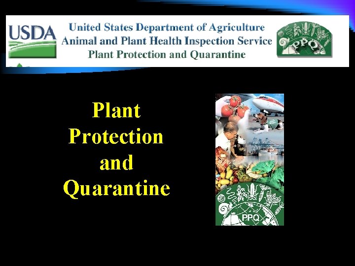 Plant Protection and Quarantine 