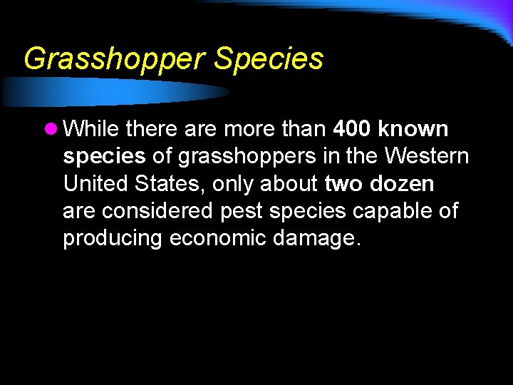 Grasshopper Species l While there are more than 400 known species of grasshoppers in