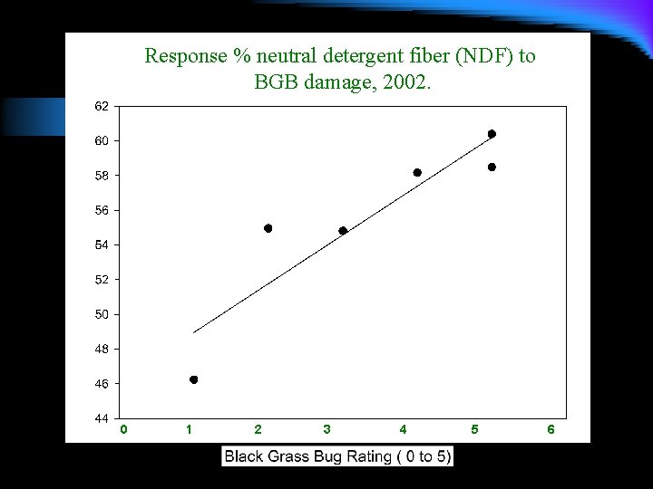 Response % neutral detergent fiber (NDF) to BGB damage, 2002. y = 46. 14