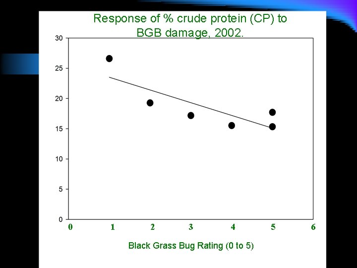 Response of % crude protein (CP) to BGB damage, 2002. y = 25. 62