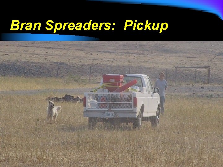 Bran Spreaders: Pickup 