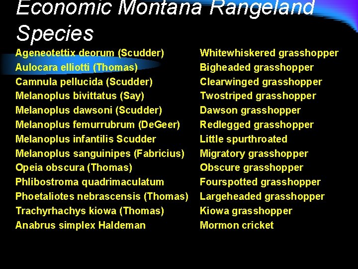 Economic Montana Rangeland Species Ageneotettix deorum (Scudder) Aulocara elliotti (Thomas) Camnula pellucida (Scudder) Melanoplus