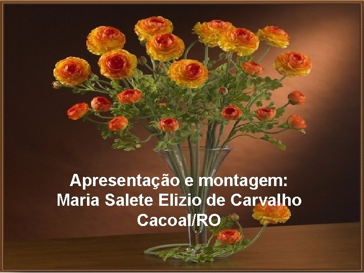 Apresentação e montagem: Maria Salete Elizio de Carvalho Cacoal/RO 