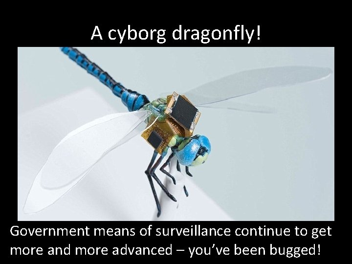 A cyborg dragonfly! Government means of surveillance continue to get more and more advanced