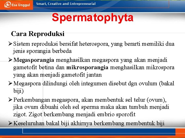 Spermatophyta Cara Reproduksi Ø Sistem reproduksi bersifat heterospora, yang berarti memiliki dua jenis sporangia