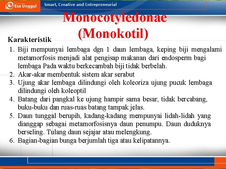 Karakteristik Monocotyledonae (Monokotil) 1. Biji mempunyai lembaga dgn 1 daun lembaga, keping biji mengalami